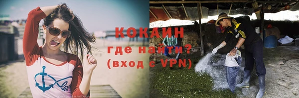 кокс Щучье