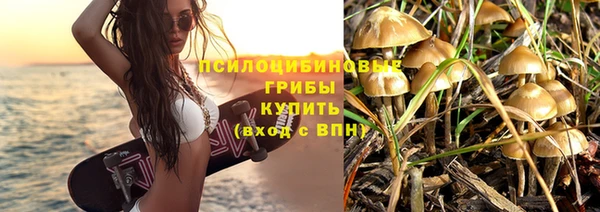 jwh Краснослободск